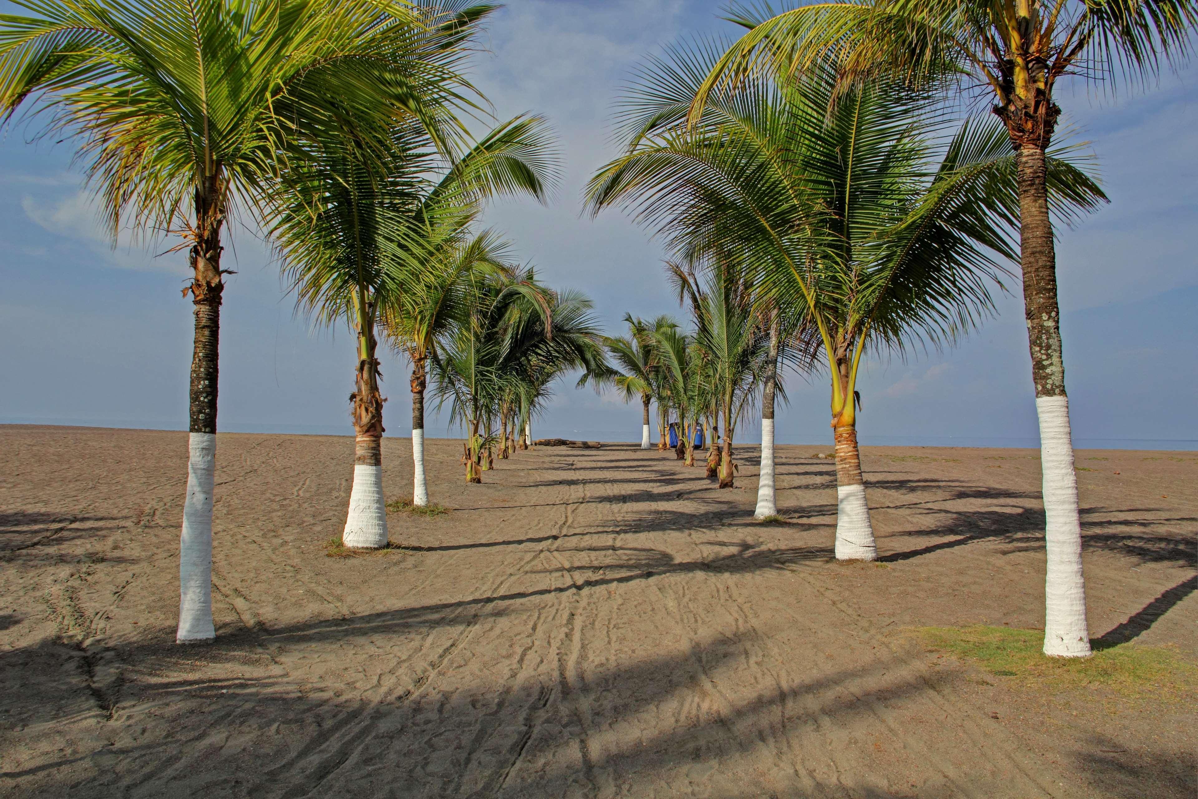 Best Western Jaco Beach All Inclusive Resort Exteriér fotografie